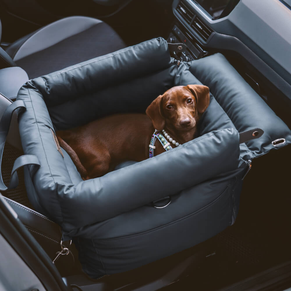 Prächtig Unterwegs Autositz Hundebett