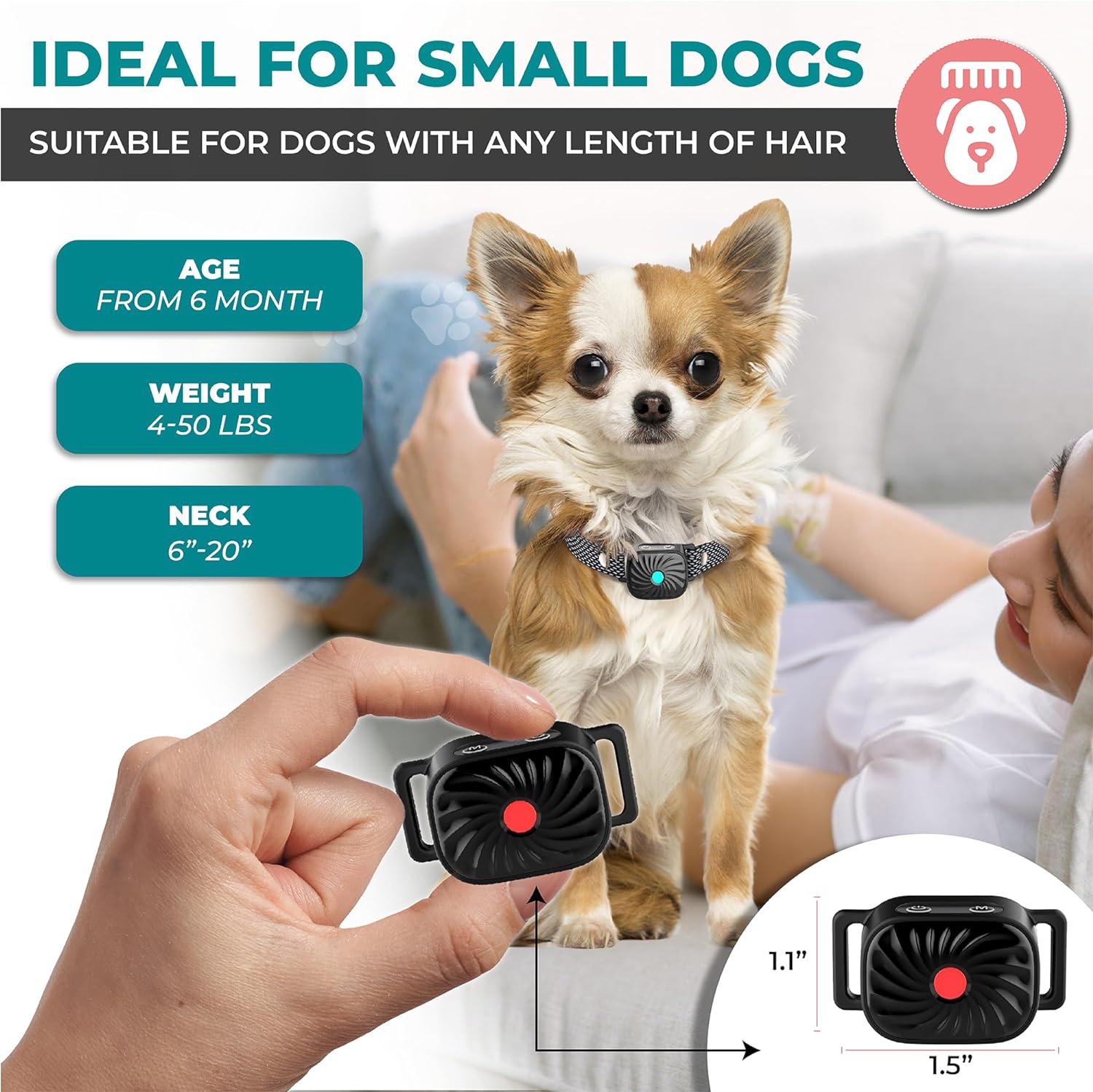 Antibellhalsband für kleine Hunde
