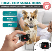 Antibellhalsband für kleine Hunde