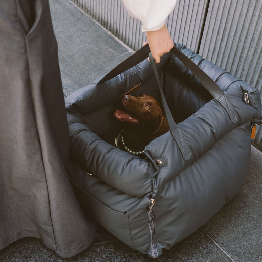 Prächtig Unterwegs Autositz Hundebett