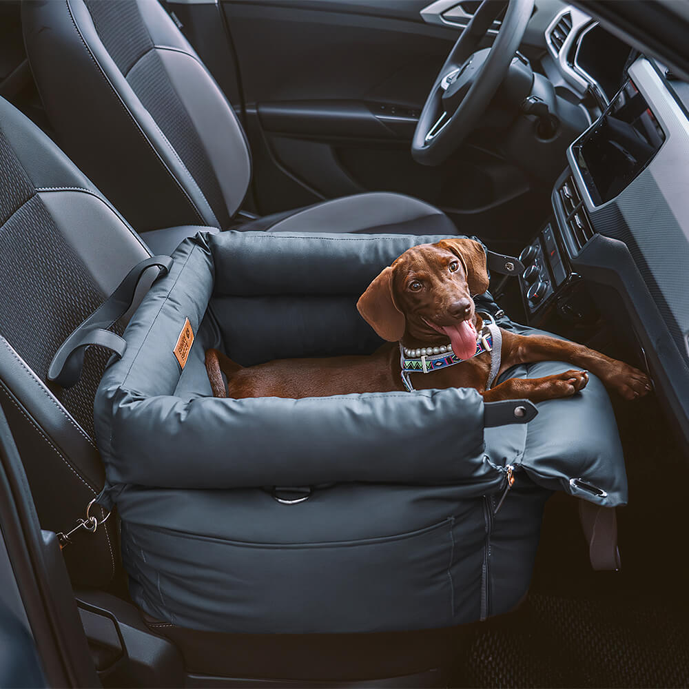 Prächtig Unterwegs Autositz Hundebett