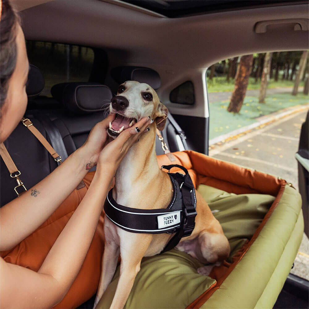 Prächtig Unterwegs Autositz Hundebett