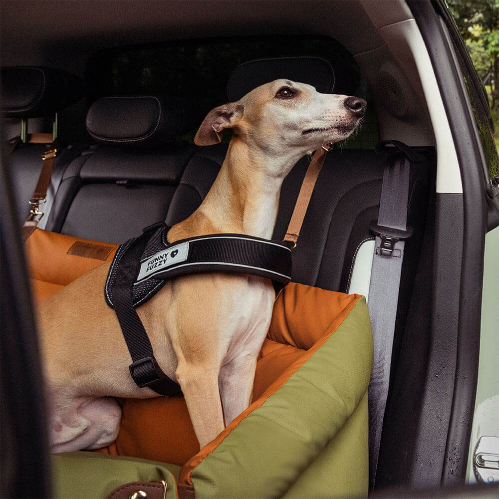 Prächtig Unterwegs Autositz Hundebett
