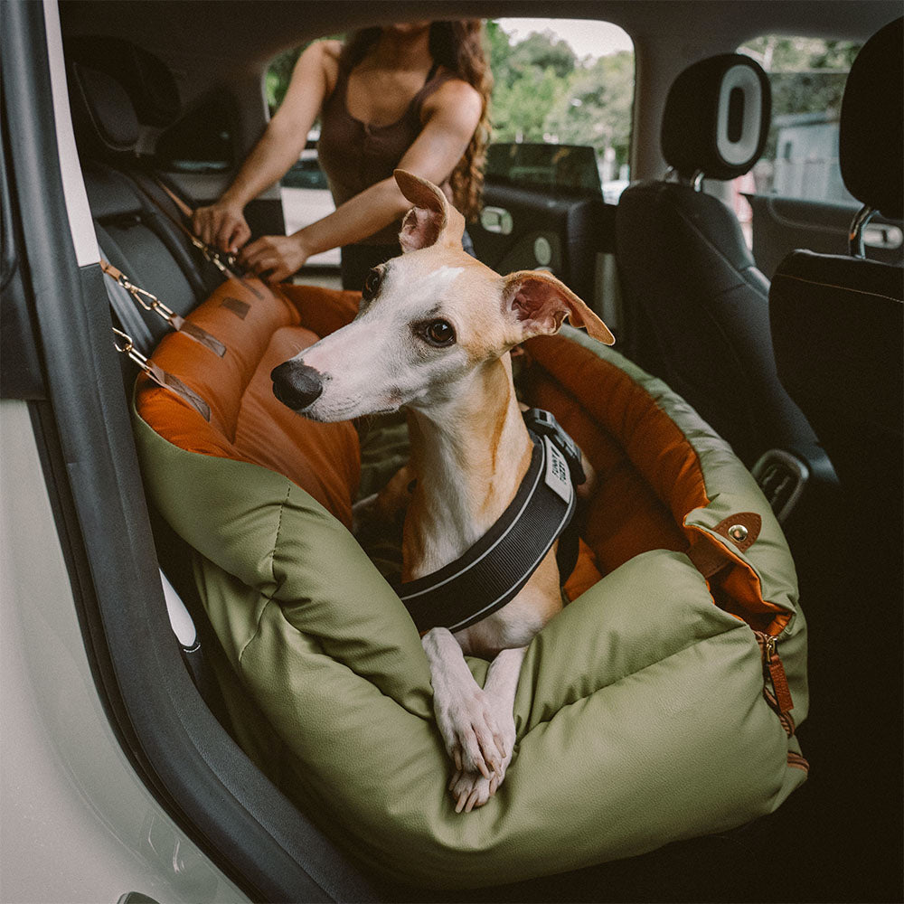 Prächtig Unterwegs Autositz Hundebett