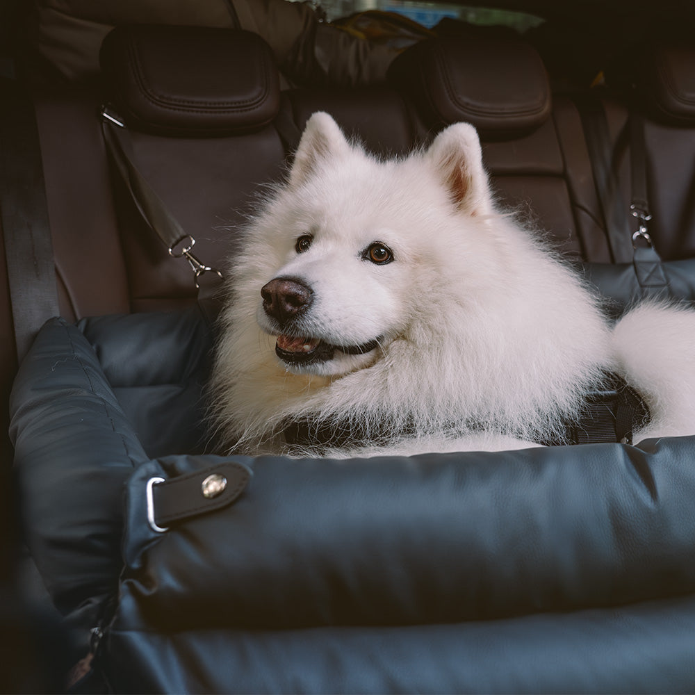 Prächtig Unterwegs Autositz Hundebett