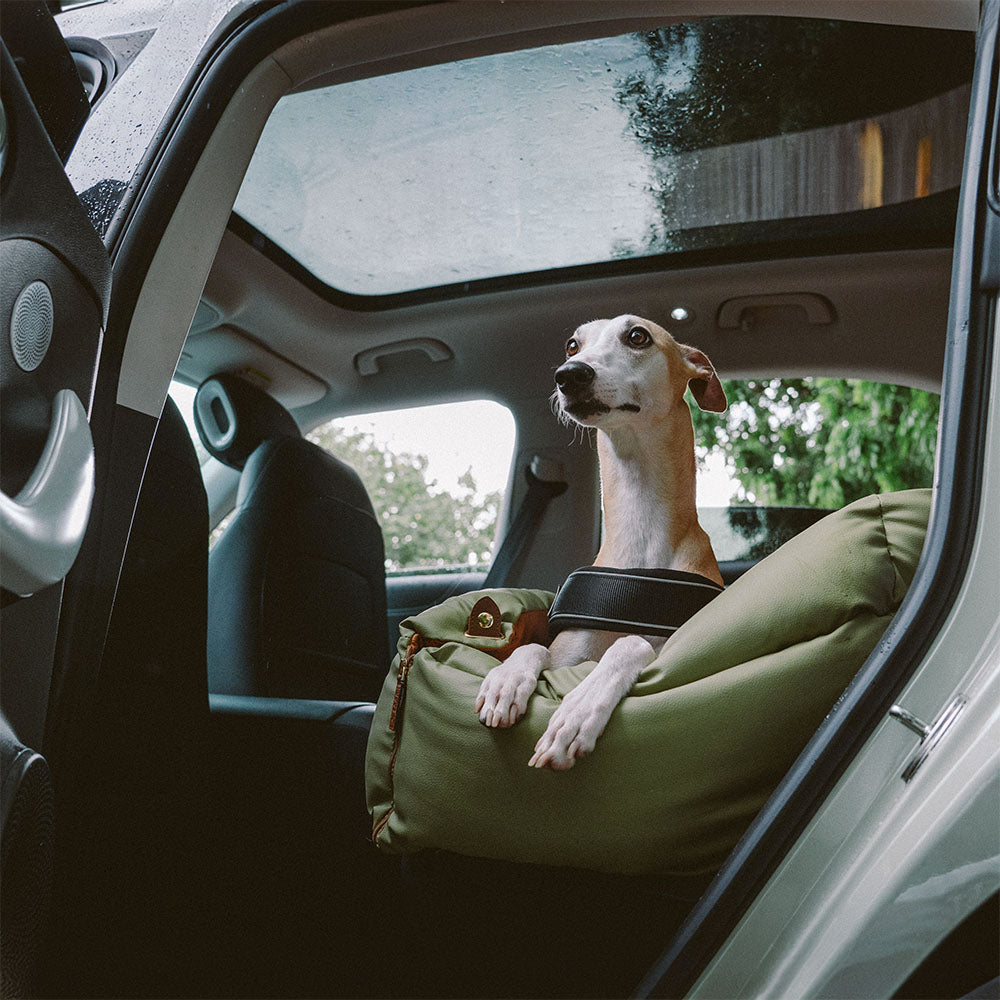 Prächtig Unterwegs Autositz Hundebett