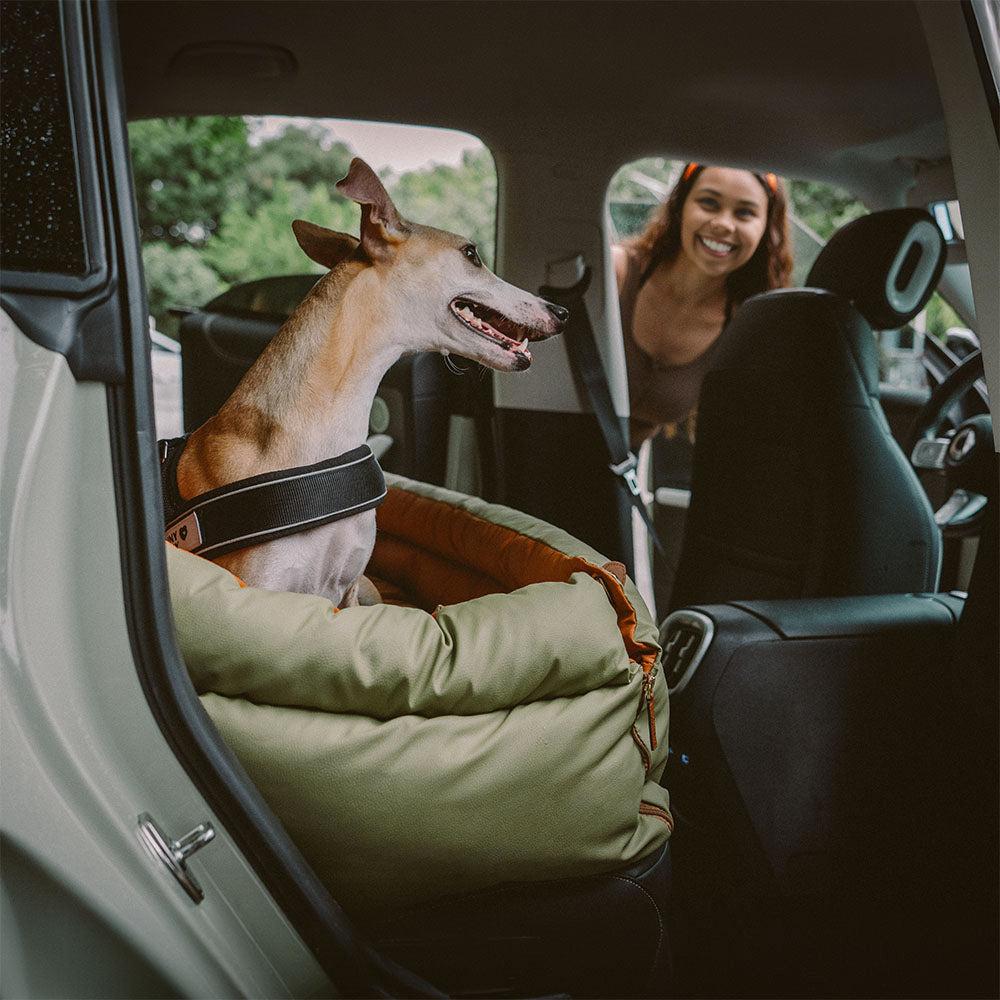 Prächtig Unterwegs Autositz Hundebett