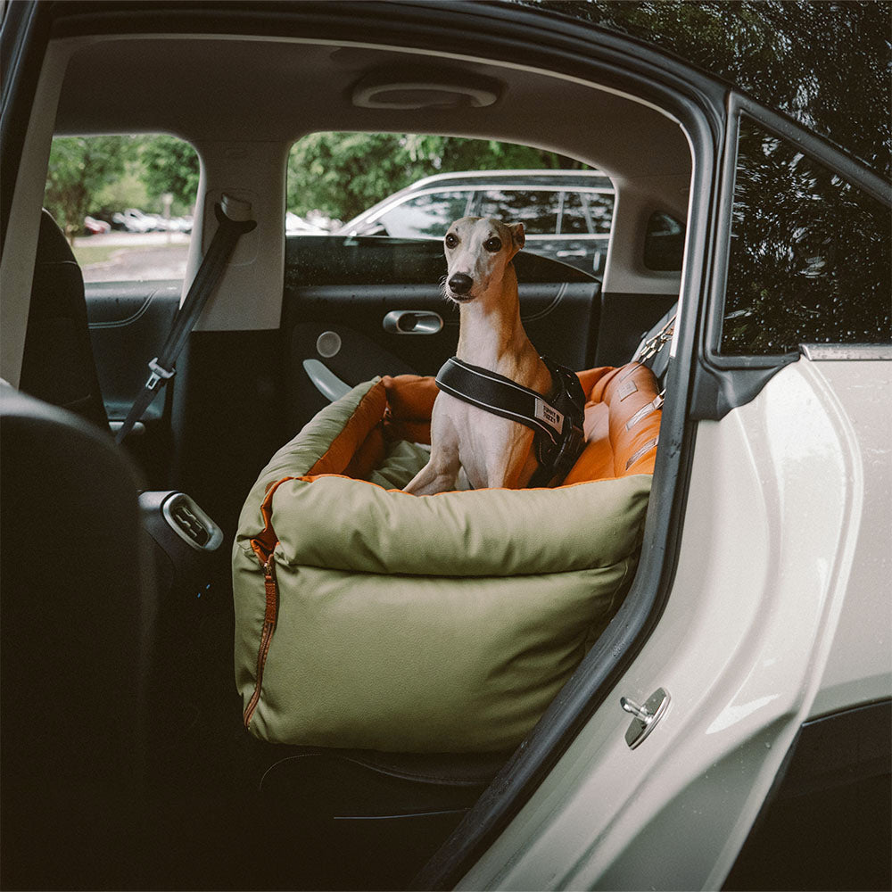 Prächtig Unterwegs Autositz Hundebett