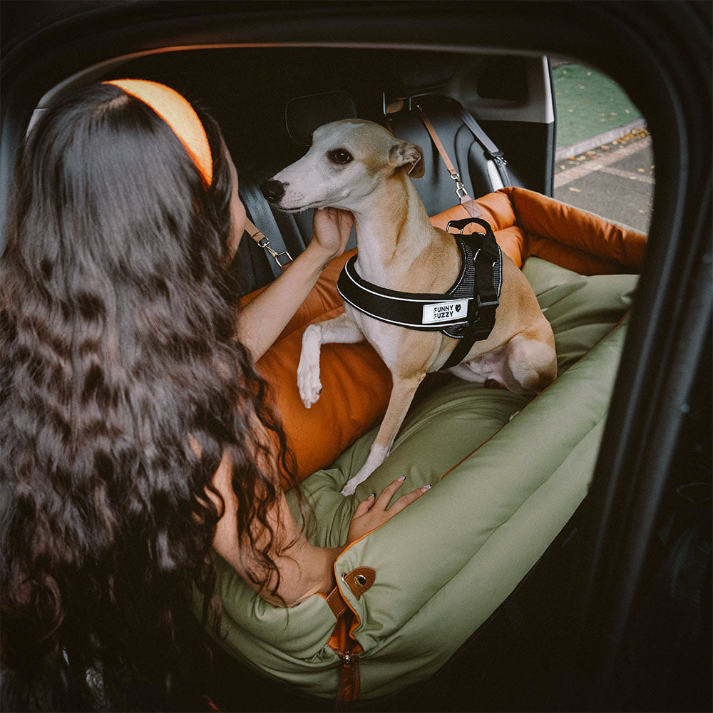 Prächtig Unterwegs Autositz Hundebett