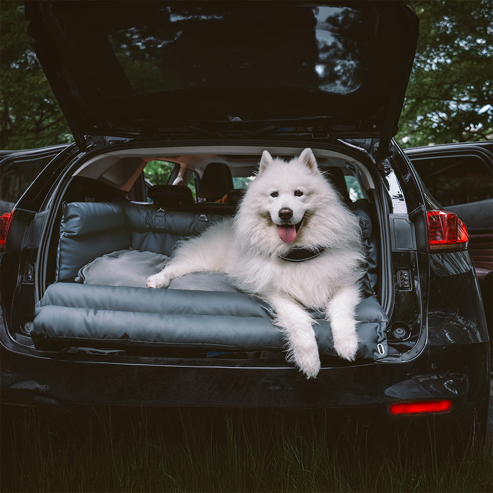 Prächtig Unterwegs Autositz Hundebett