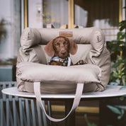 Prächtig Unterwegs Autositz Hundebett
