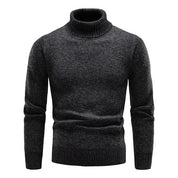 Moderner Rollkragenpullover Herren