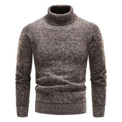 Moderner Rollkragenpullover Herren