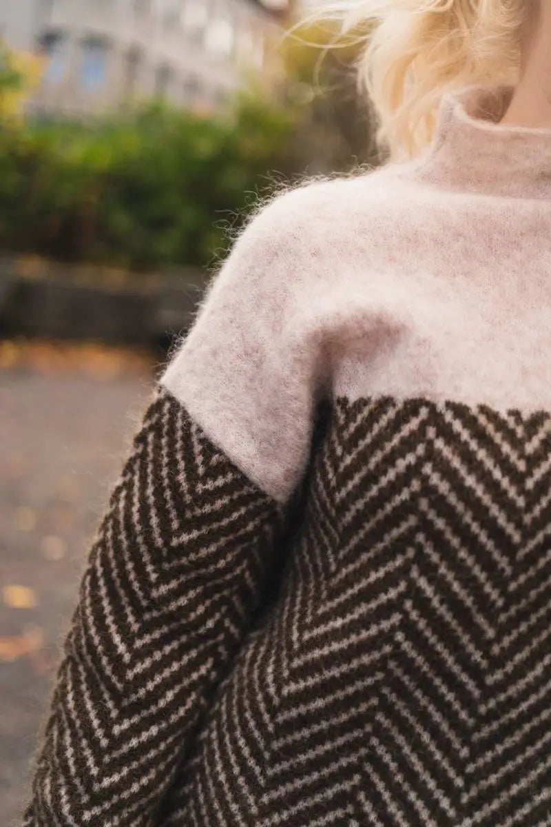 Dory Zweifarbiger Rollkragenpullover aus Baumwolle Sedore